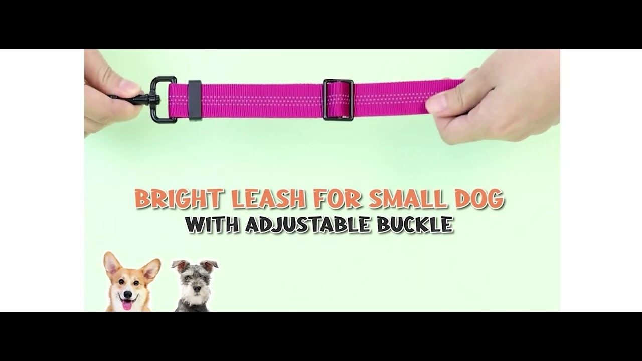 Make Dog Walking a Breeze with Slowton Double Dog Leash Coupler!"