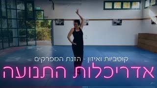 שיעור ריקוד לריפוי עצמי | קוטביות ואיזון | הזנת המפרקים במגוון תנועתי