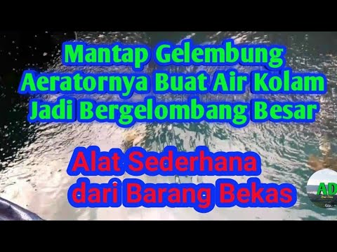 Sederhana.....Gelembung Aerator Menjadikan Air Kolam ...