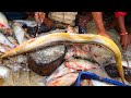 Big Eel Fish Cutting Skills At Bangladeshi Fish Market, Fisherman Fish Cutting Skills Video