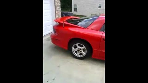 Trans am walk around, cammed LS1