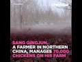 Chinese farmer took his 70,000 chickens for Fitness