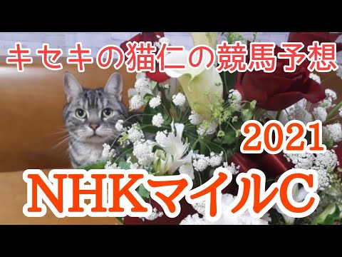 NHKマイルC2021 キセキの猫仁の競馬予想