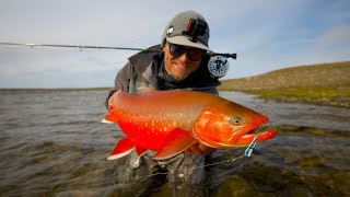 CHANNEL LAUNCH!!! Neon Fish in the ARCTIC Circle!