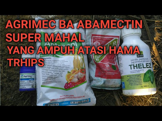 INSEKTISIDA AGRIMEC BAHAN AKTIF ABAMEKTIN MURNI - YouTube