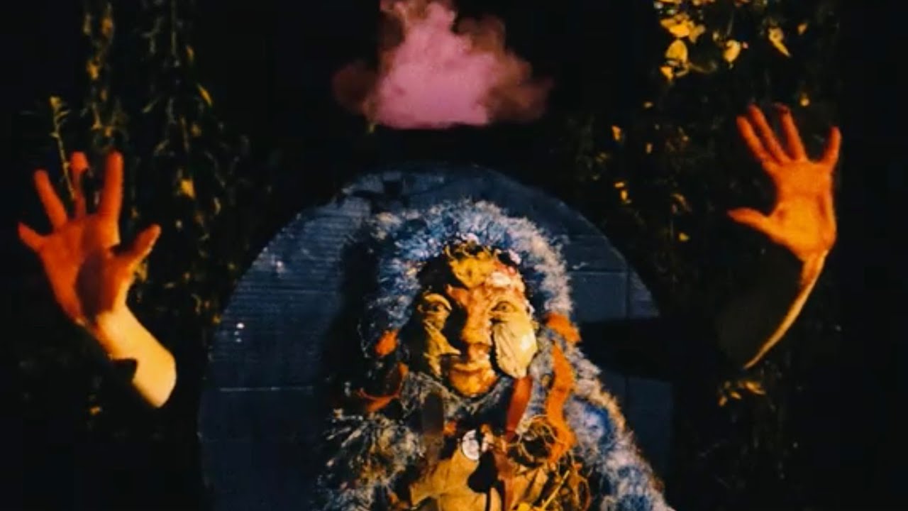 在 YouTube 上觀看「TREE - WILDLIFE FREEWAY (Official Music Video)」 在 YouTube 上觀看「TREE - WILDLIFE FREEWAY (Official Music Video)」