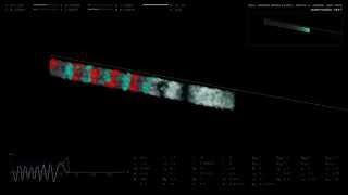Cell-based model of self-organized tissue segmentation