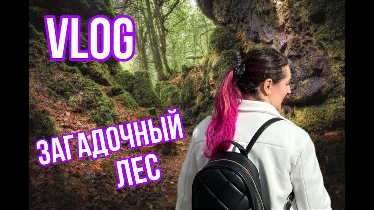 VLOG | PUZZLEWOOD | ПРОТОТИП ЛЕСА ИЗ ГАРРИ ПОТТЕРА? | Мерлин, Властелин колец, Доктор Кто