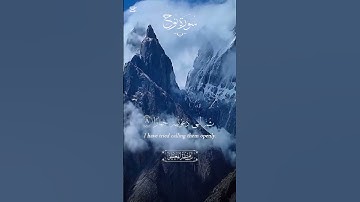 ايات من سورة نوح #القرآنالكريم #القزابري #المصحف #دويتو #اكسبلور