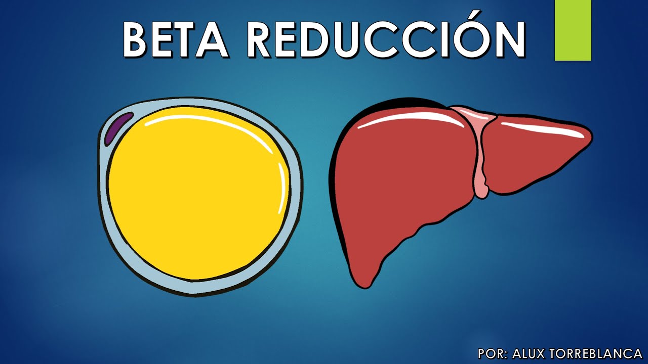 CLASE BETA REDUCCIÓN