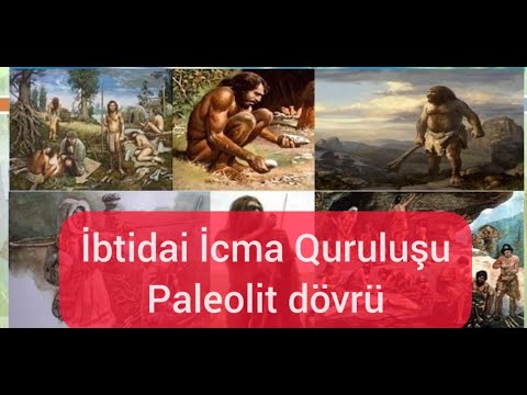 #1 Azərbaycan Tarixi - İbtidai İcma Qurluşu Paleolit dövrü