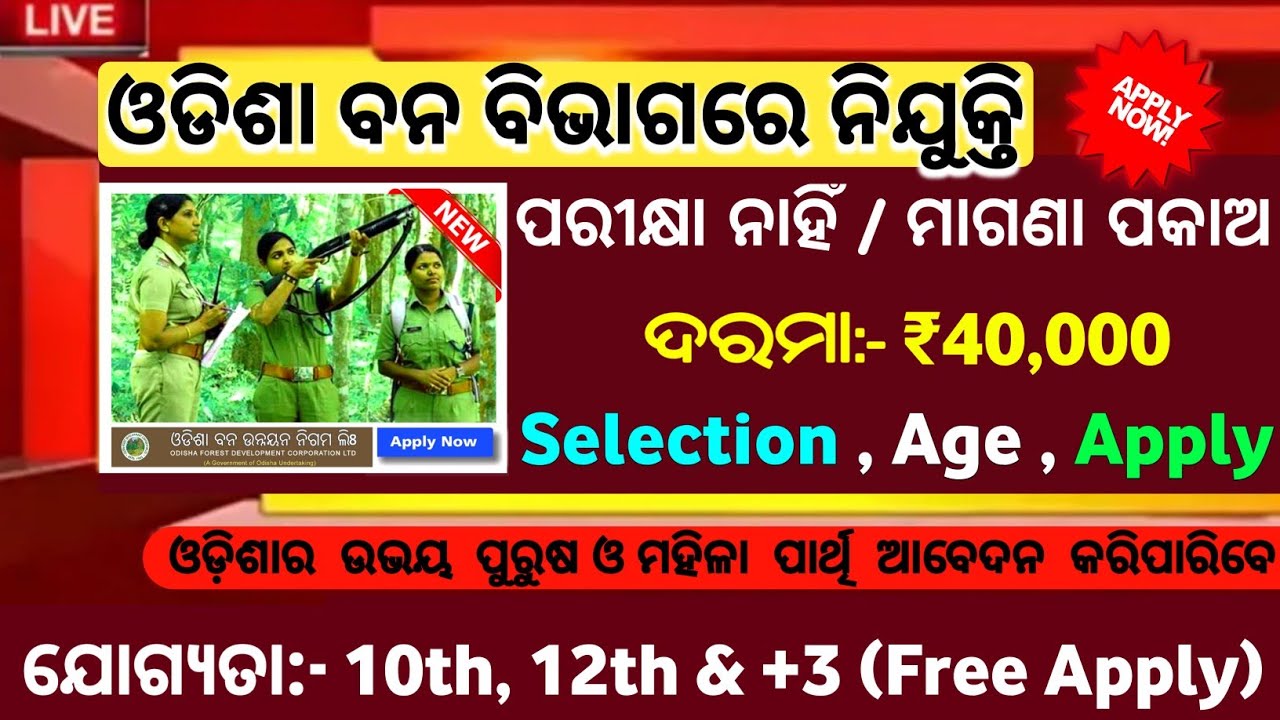 Free Apply Odisha Govt Jobs Odisha Job free apply odisha govt jobs odisha job