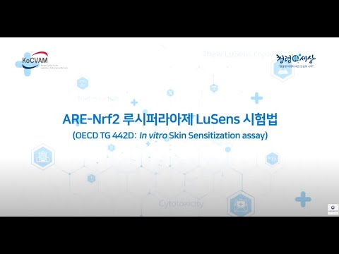 [동물대체시험법]ARE Nrf2루시퍼라아제 LuSens <strong>시험법</strong>