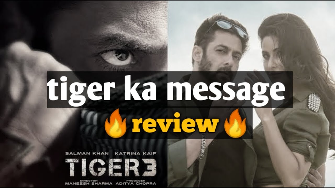 Tiger ka message review filmy vibes