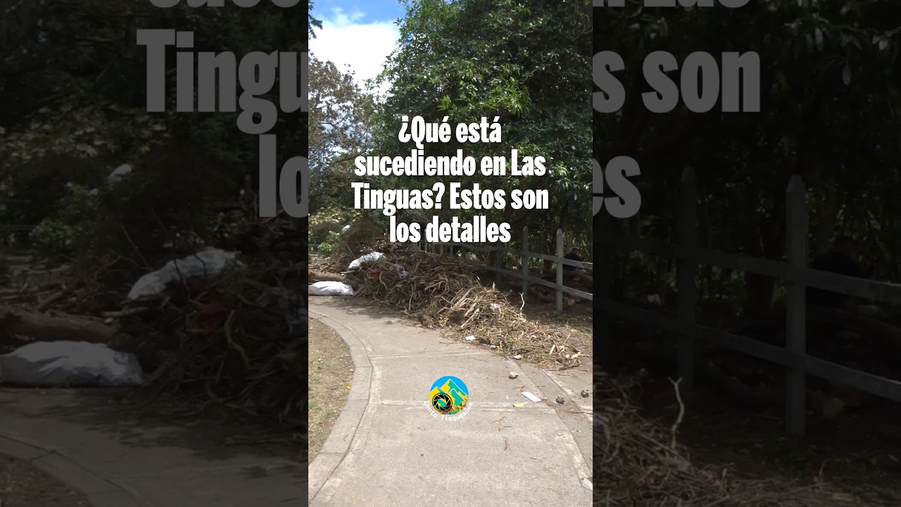 ¿Qué está sucediendo en Las Tinguas? La comunidad preguntó. Estos son los detalles 🎥🕵️‍♂️🎙️
