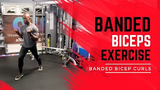 Exercise Banded Bicep Curls