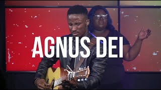 AGNUS DEI || Daniel Ojo