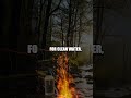 Edge of Real World Survival Tactics with Nature Pros