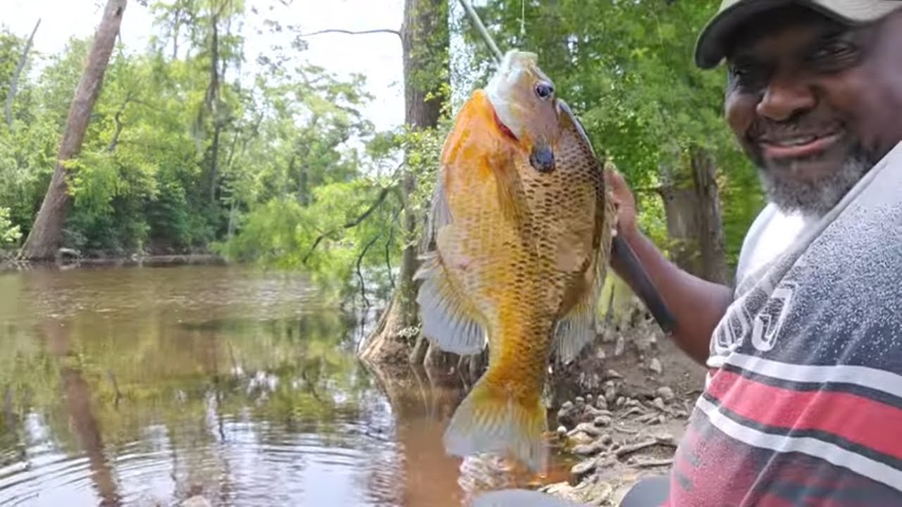 Fishing The River That Runs Through the Park!