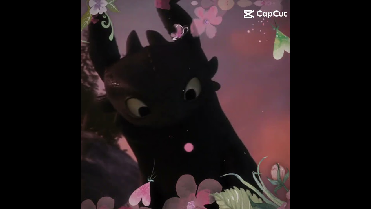 #howtotrainyourdragon