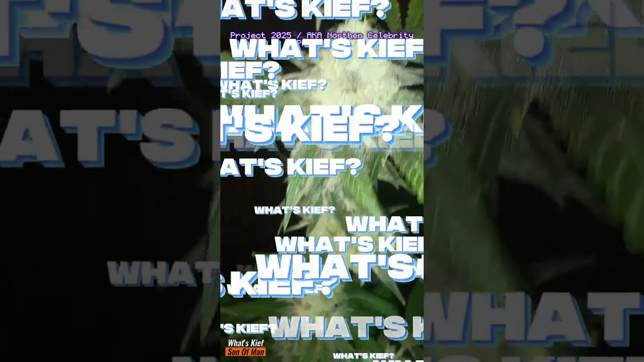 Northern Celebrity | Pheno-208 | Son Of Man Release "What's Kief" 