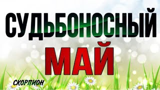 🔴 СКОРПИОН,♏️, МАЙ, 🌺☘️ СУДЬБОНОСНЫЕ МОМЕНТЫ, таро, гороскоп, прогноз, расклад, онлайн,скорпион,