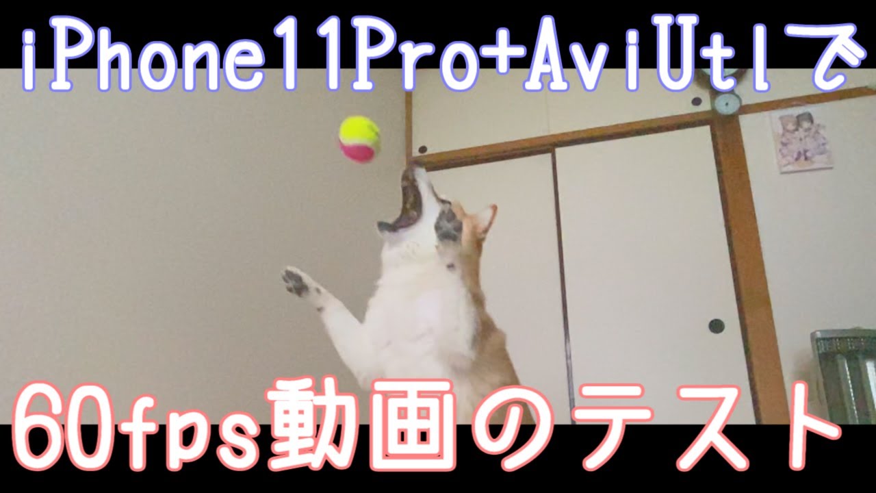 Aviutl 60fps動画のテスト Iphone Youtube