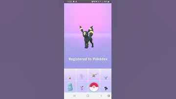 Evolving cute Eevee into Umbreon in Pokemon Go.