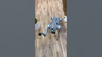 AI on Four Legs: The Incredible Robot Dog at RSA 2025 #rsac #rsac2025 #moscone