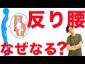 【反り腰で腰痛のあなたへ】　反り腰、でっ尻になる原因をわかりやすく解説してみました【反り腰原因解説】