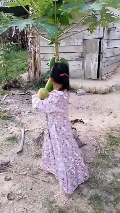 SOPO SING NANDUR BAKALE NGUNDUH