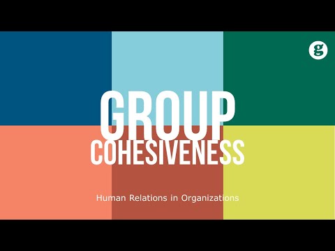 वीडियो: समूह सामंजस्य क्यों महत्वपूर्ण है?