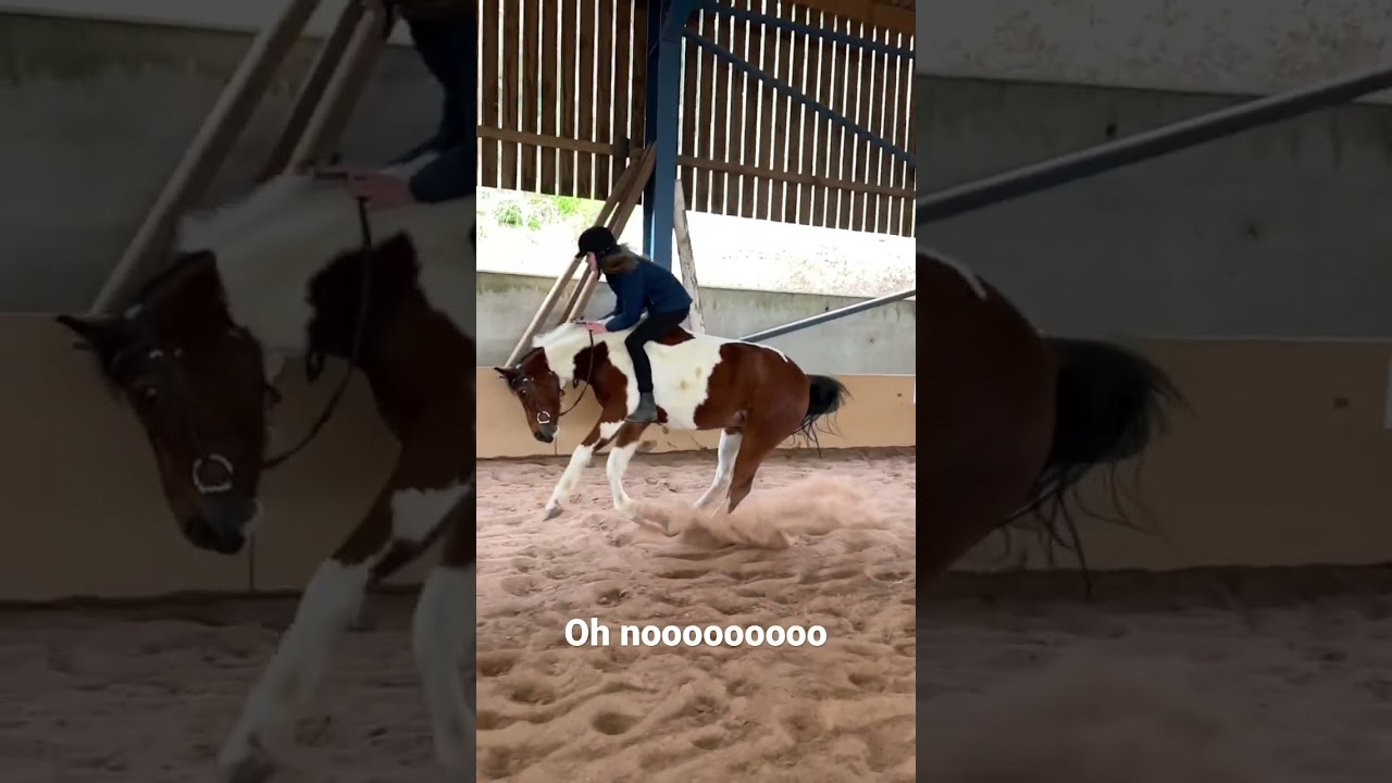 This was not his fault he got spooked and ran 