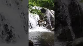 Download Lagu DJ DANGDUT REMIX 2025 🔥 | Viral TikTok Dance Music #shorts MP3 Download Lagu DJ DANGDUT REMIX 2025 🔥 | Viral TikTok Dance Music #shorts MP3