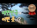 대한민국에 이런 곳이? 바다, 계곡, 예술품 다 있는 대한민국 관광 명소 / YTN 사이언스