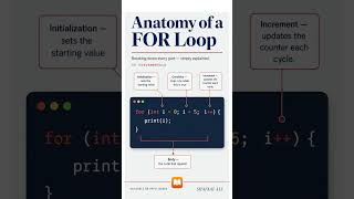 What are the main parts of for loop?