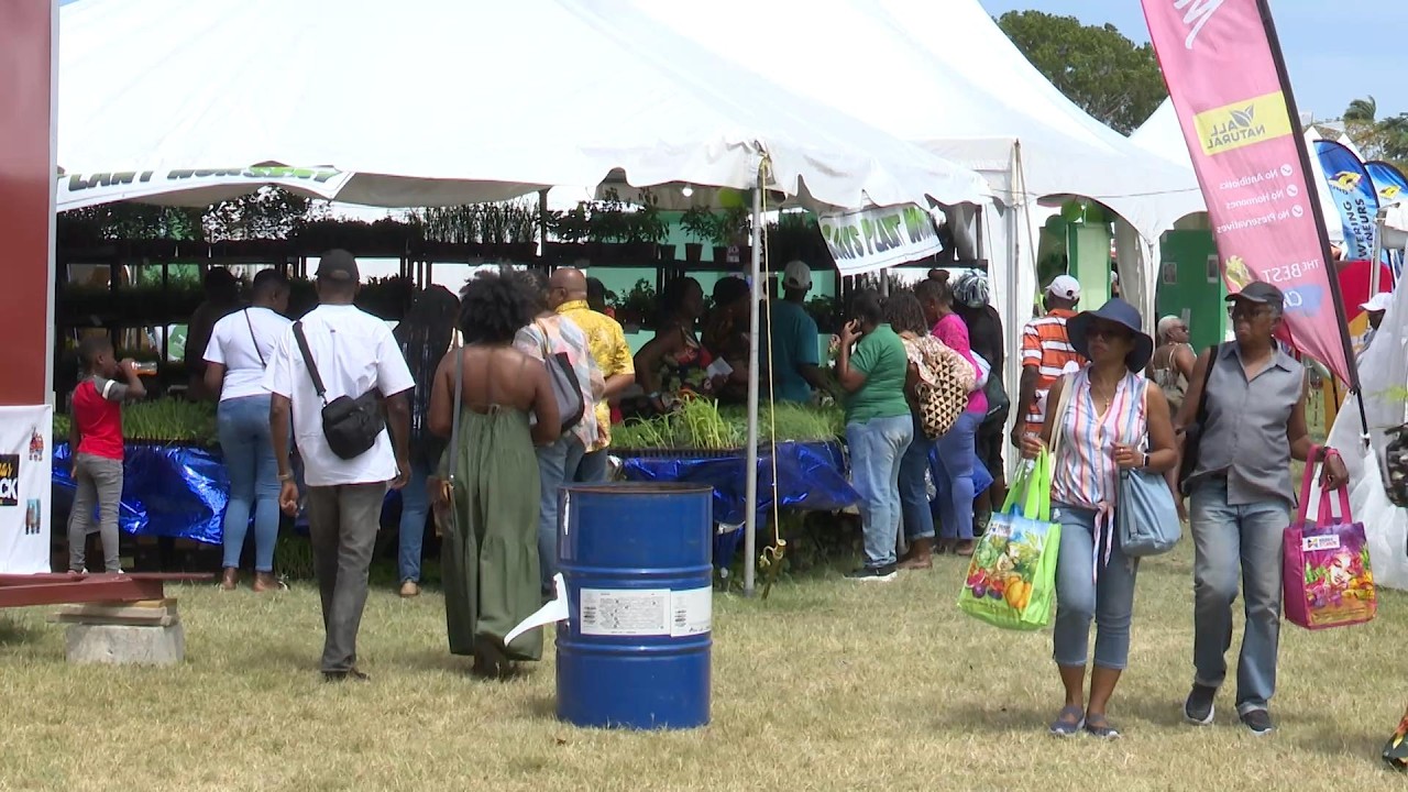 Large crowds turn out for day two of Agrofest