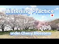 [Eng Sub] Japanese Listening Practice | Walk under the Cherry Blossoms in Full Bloom