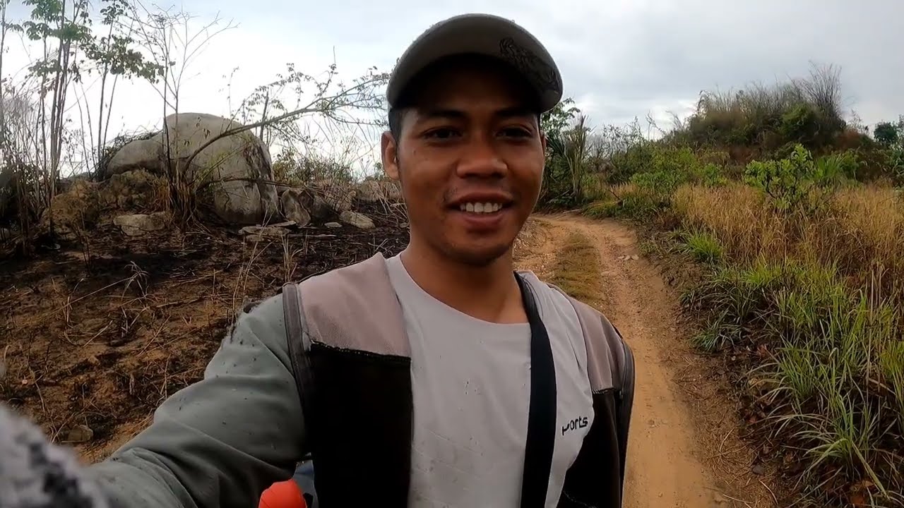 Отлов перепелов в начале сезона дал очень хорошие результаты.