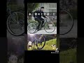 僕の自転車と悠仁くんの自転車が色違いだった。あとは一緒だな#shorts #自転車 #ペットボトルエンジン #悠仁さま #学園生活