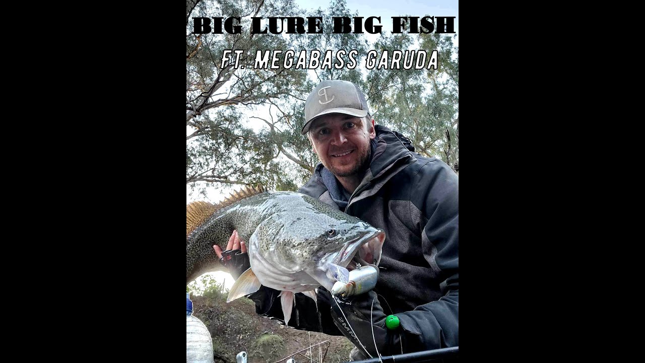 Big Lure Big Fish l Murray Cod l Megabass Garuda Review