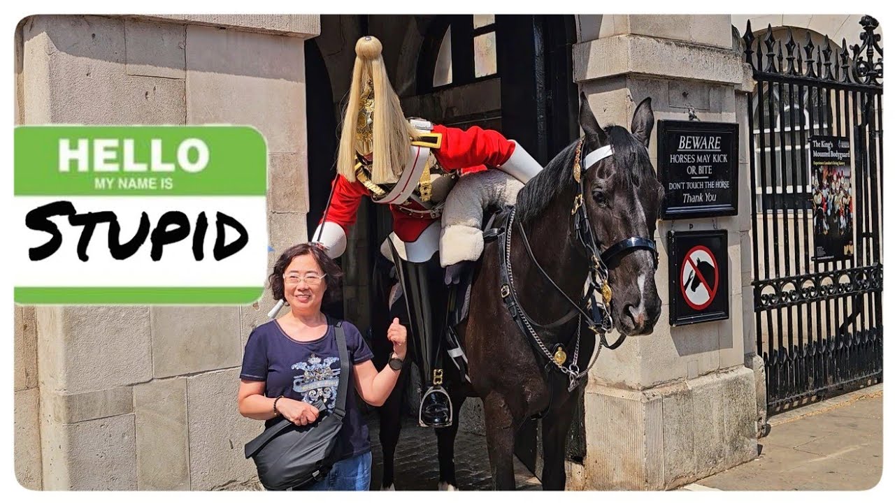 140 Times The Guard Ran Out of PATIENCE and Let Rip at Tourists!