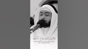 فَنَادَاهَا مِن تَحْتِهَا أَلَّا تَحْزَنِي #الشيخ أحمد النفيس حفظه الله #ابداعات #تلاوات_خاشعة