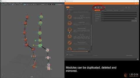 Modular Skeleton and Rig Builder