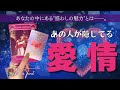 お相手に厳しめ選択アリ⚡️‬あなたのどこに惚れてる？最近妄想した事、見せていないあなたへの愛情…深掘りリーディングしていきます🍀*゜