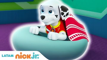 Paw Patrol, Patrulla de cachorros | Los Cachorros Se Enfrentan a un Resfriado | Nick Jr. en Español