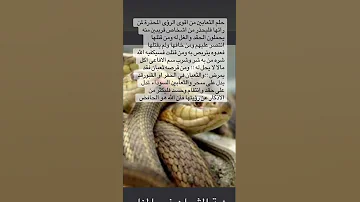 تفسير حلم الثعابين في المنام 