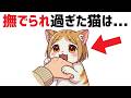 猫の雑学【30選】 #雑学 #豆知識 #猫