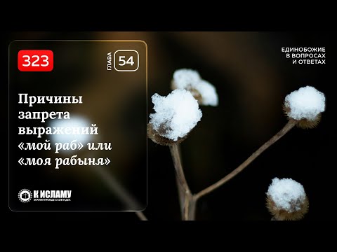 323. Причины запрета выражений «мой раб» или «моя рабыня». Единобожие в вопросах и ответах