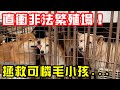 直衝非法繁殖場！拯救可憐毛小孩⋯現場宛如煉獄！利益與生命的衝突？【大麻煩】ft.李火山 thumbnail